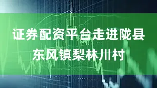 证券配资平台走进陇县东风镇梨林川村